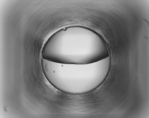X0000102021516200807180931