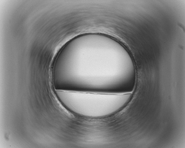 X0000102021517200807180931