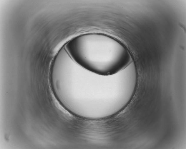 X0000102021518200807180931