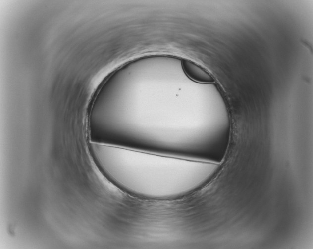 X0000102021519200807180931
