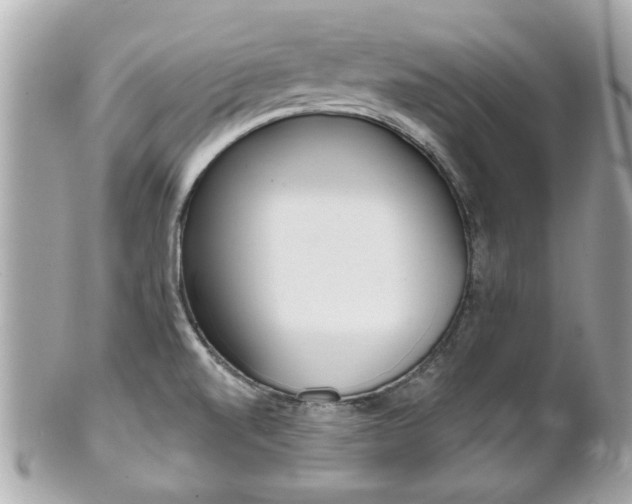 X0000102021520200807180931