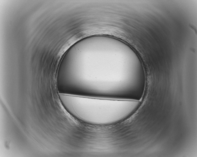 X0000102021521200807180931