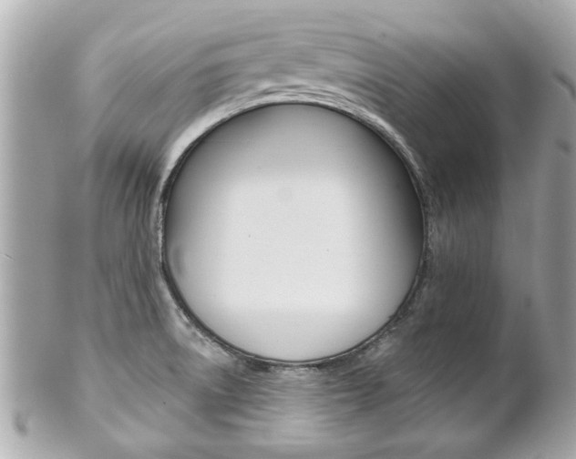 X0000102021522200807180931