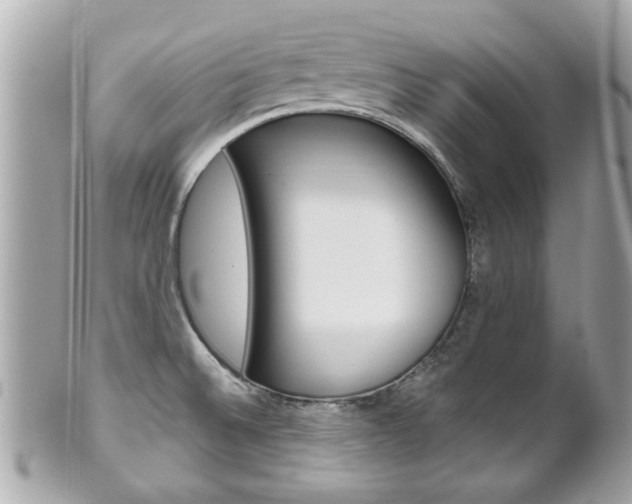 X0000102021524200807180931