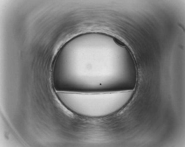 X0000102021525200807180931