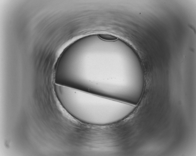 X0000102021526200807180931