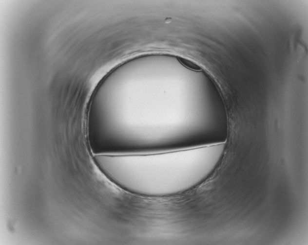 X0000102021527200807180931
