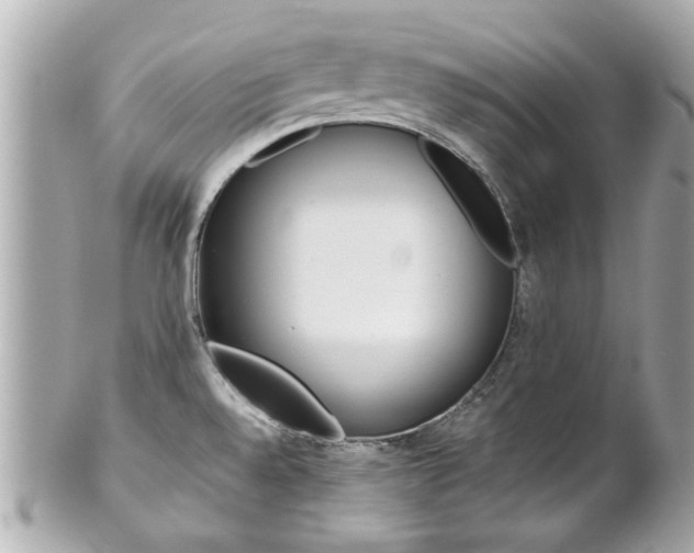 X0000102021528200807180931