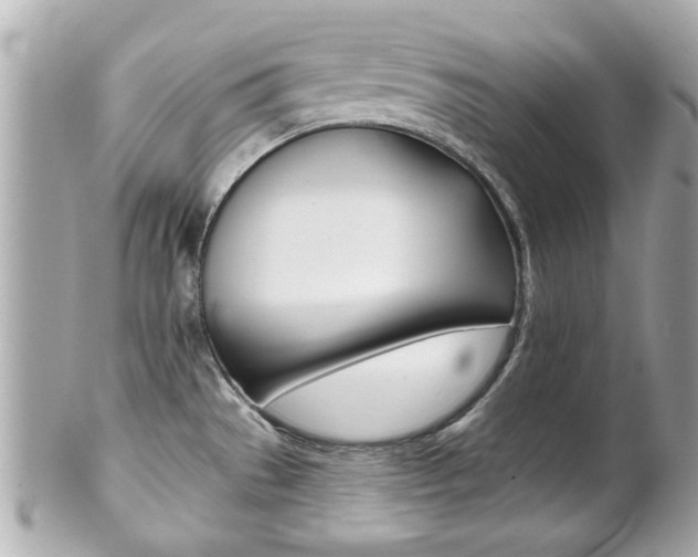 X0000102021529200807180931
