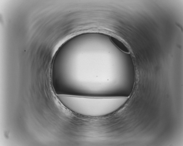 X0000102021530200807180931