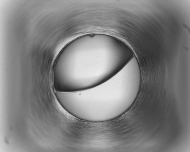 X0000102021531200807180931