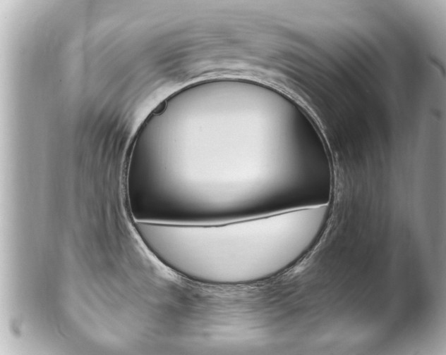 X0000102021533200807180931