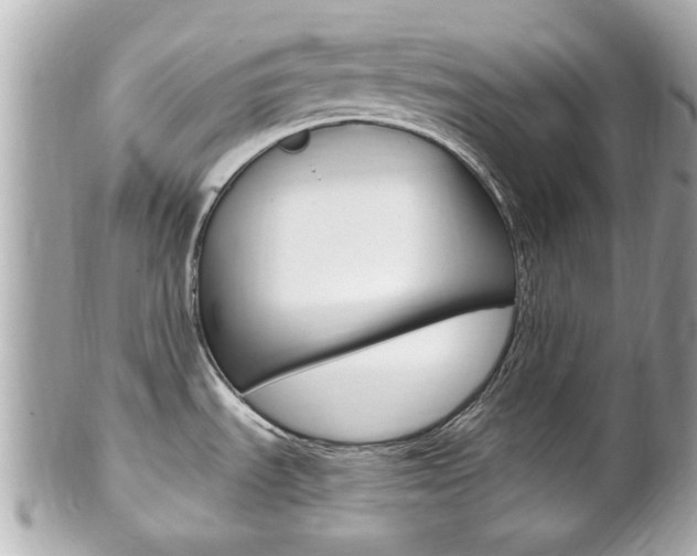 X0000102021535200807180931