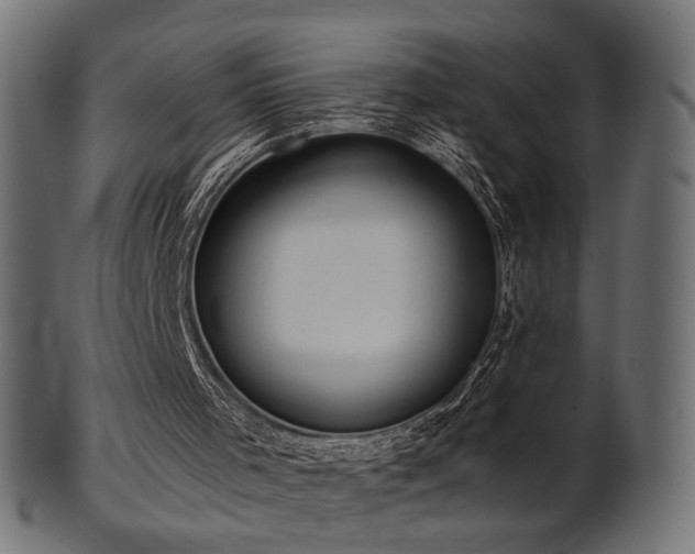 X0000102020001200807181337