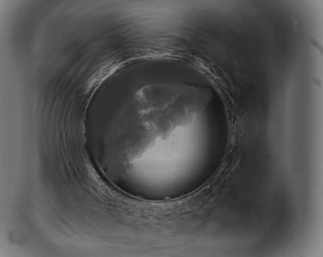 X0000102020002200807181337