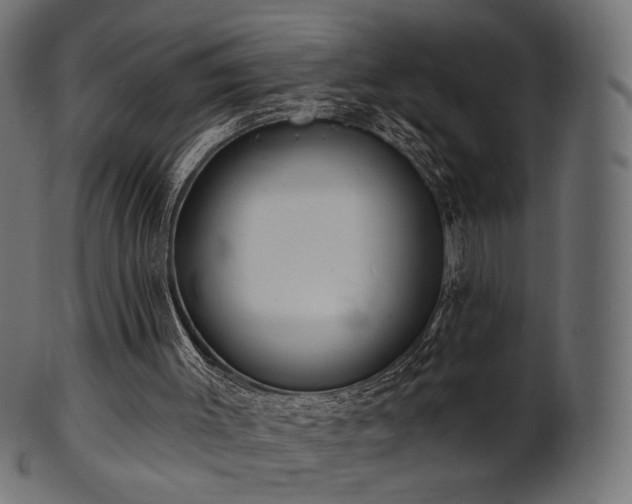 X0000102020003200807181337