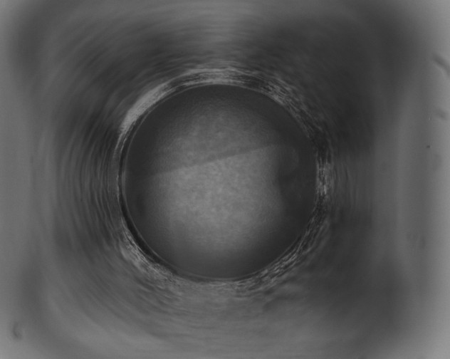 X0000102020004200807181337