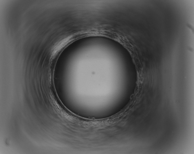 X0000102020005200807181337