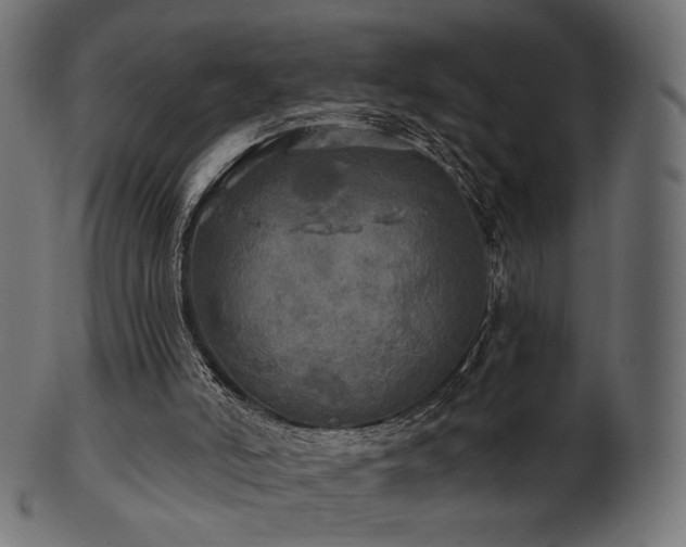 X0000102020006200807181337