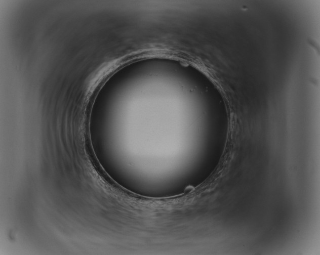 X0000102020007200807181337