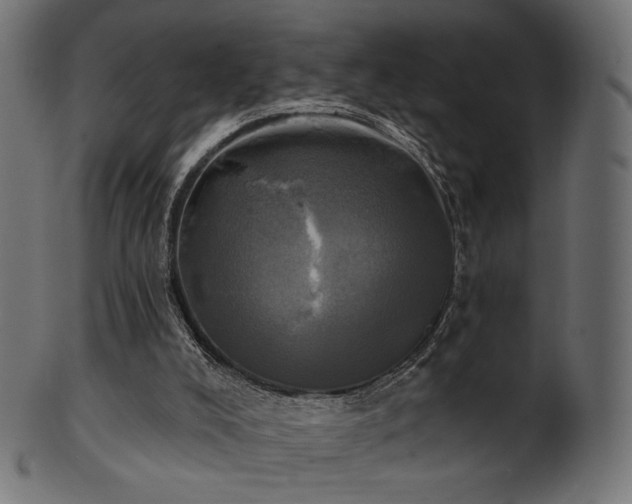 X0000102020008200807181337