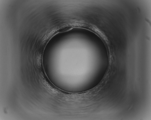 X0000102020009200807181337