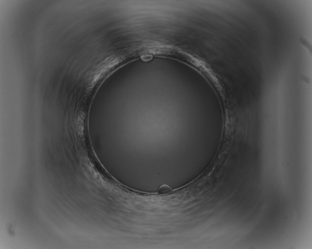 X0000102020010200807181337