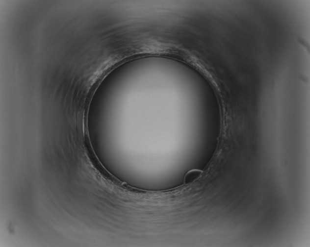 X0000102020011200807181337