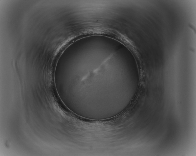 X0000102020012200807181337