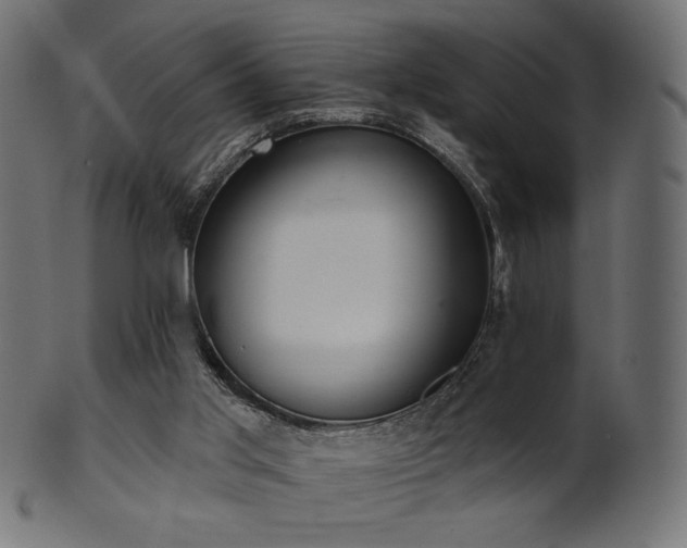 X0000102020013200807181337