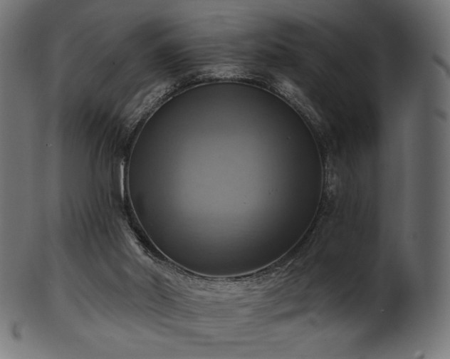 X0000102020014200807181337
