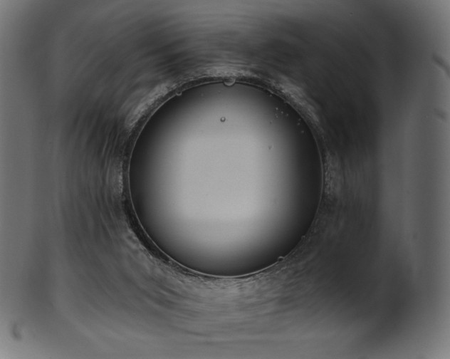 X0000102020015200807181337