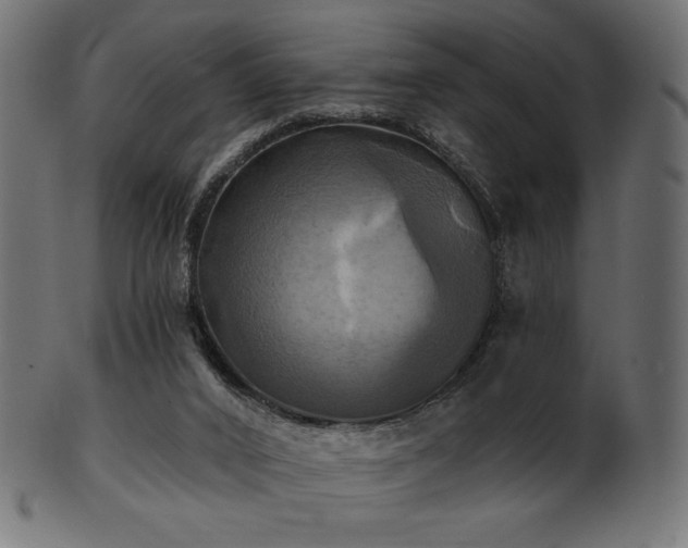 X0000102020016200807181337
