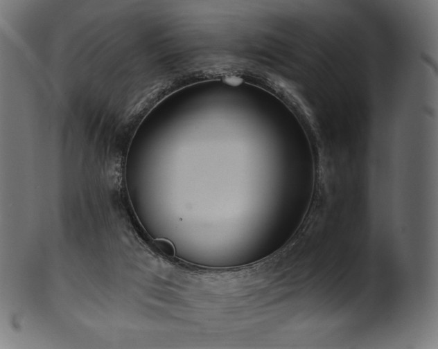 X0000102020017200807181337