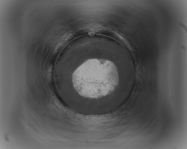 X0000102020018200807181337