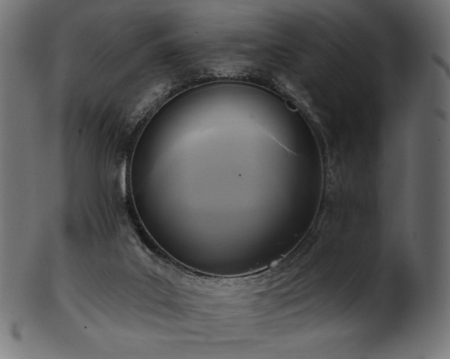 X0000102020019200807181337