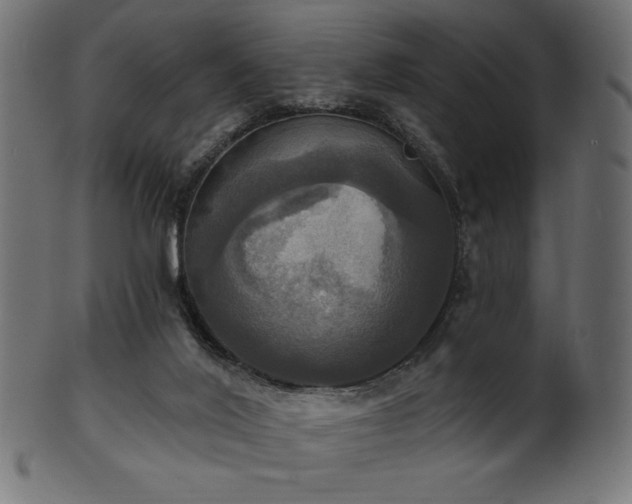 X0000102020020200807181337
