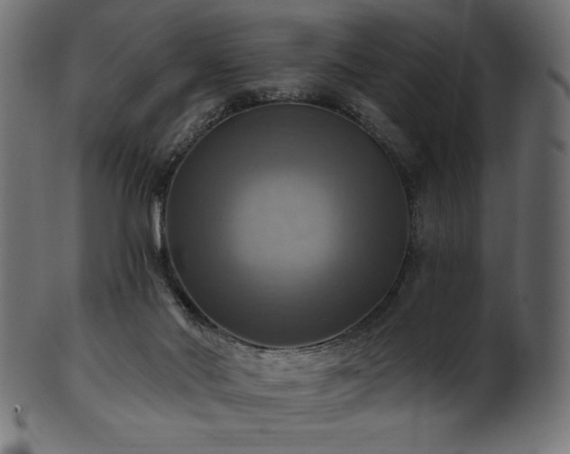 X0000102020022200807181337