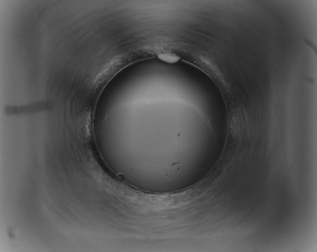 X0000102020023200807181337