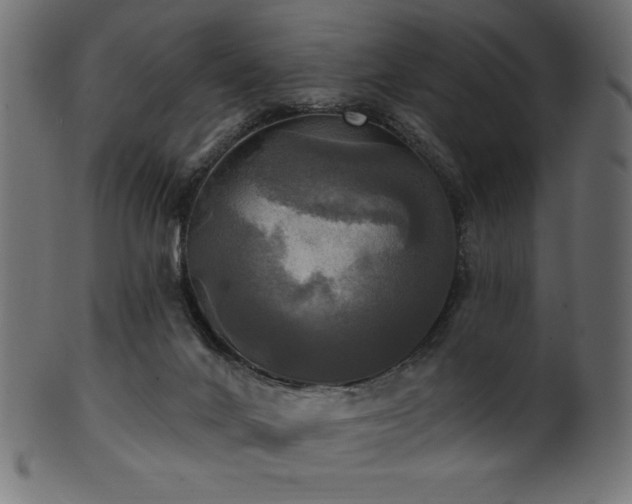 X0000102020024200807181337