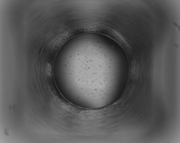 X0000102020025200807181337
