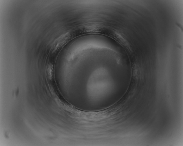 X0000102020026200807181337