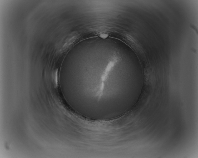 X0000102020028200807181337