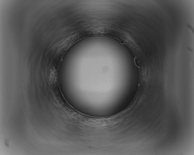 X0000102020029200807181337
