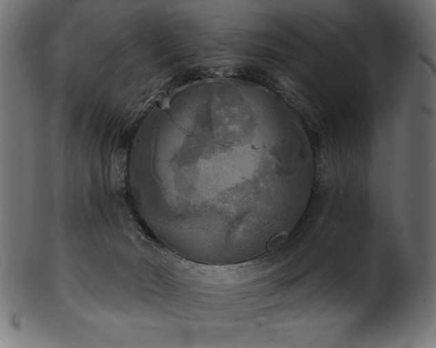 X0000102020030200807181337