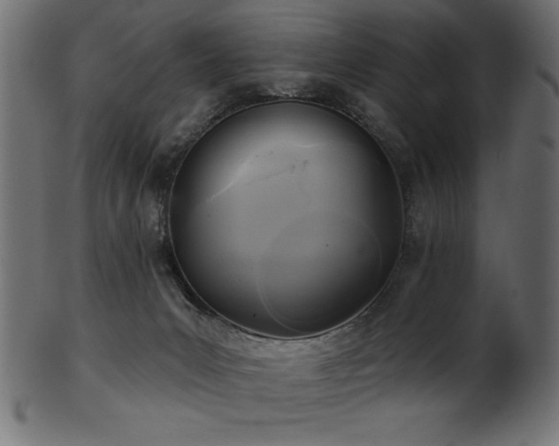 X0000102020031200807181336