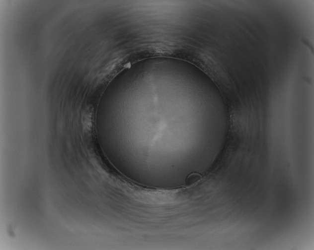 X0000102020032200807181336