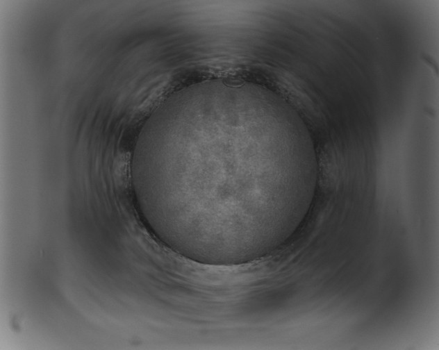 X0000102020034200807181336