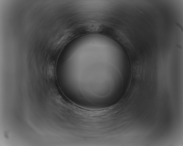 X0000102020035200807181336
