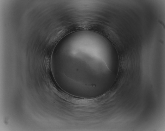 X0000102020036200807181336